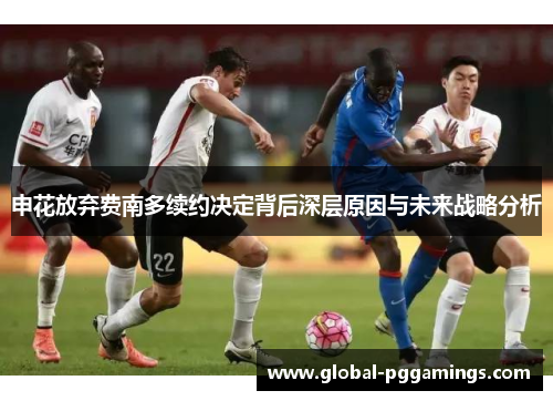 申花放弃费南多续约决定背后深层原因与未来战略分析